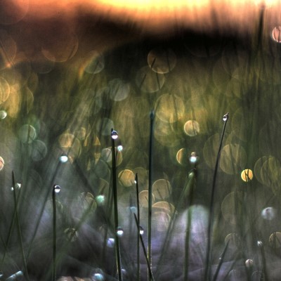 1920 x 1080 HD Wallpapers 2301